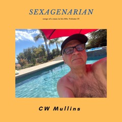 Sexagenarian Volumes IV