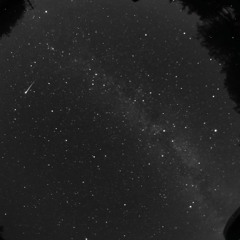 Cepheus