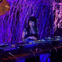 Live at Bass Coast 2025 - Slowtempo (Saturday Opening Set)
