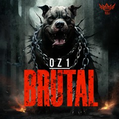Oz1 - Sonar