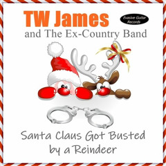 Santa Claus Got Busted By a Reindeer