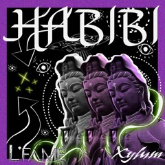 HABIBI - Xylum