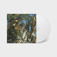 Dulzura - "Ancient Bristlecone" (CDr)
