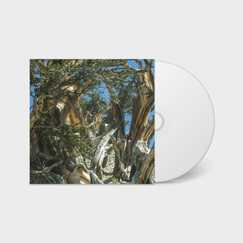 Dulzura - "Ancient Bristlecone" (CDr)