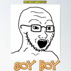 Soy Boy (Parody of "Lost Boy" by 5SOS)