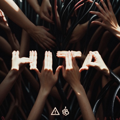 FLOSSTRADAMUS X VIPERACTIVE - HITA