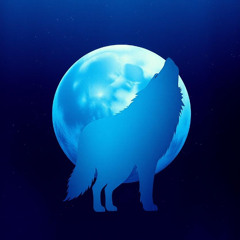 Star Wolf Heroic Remix