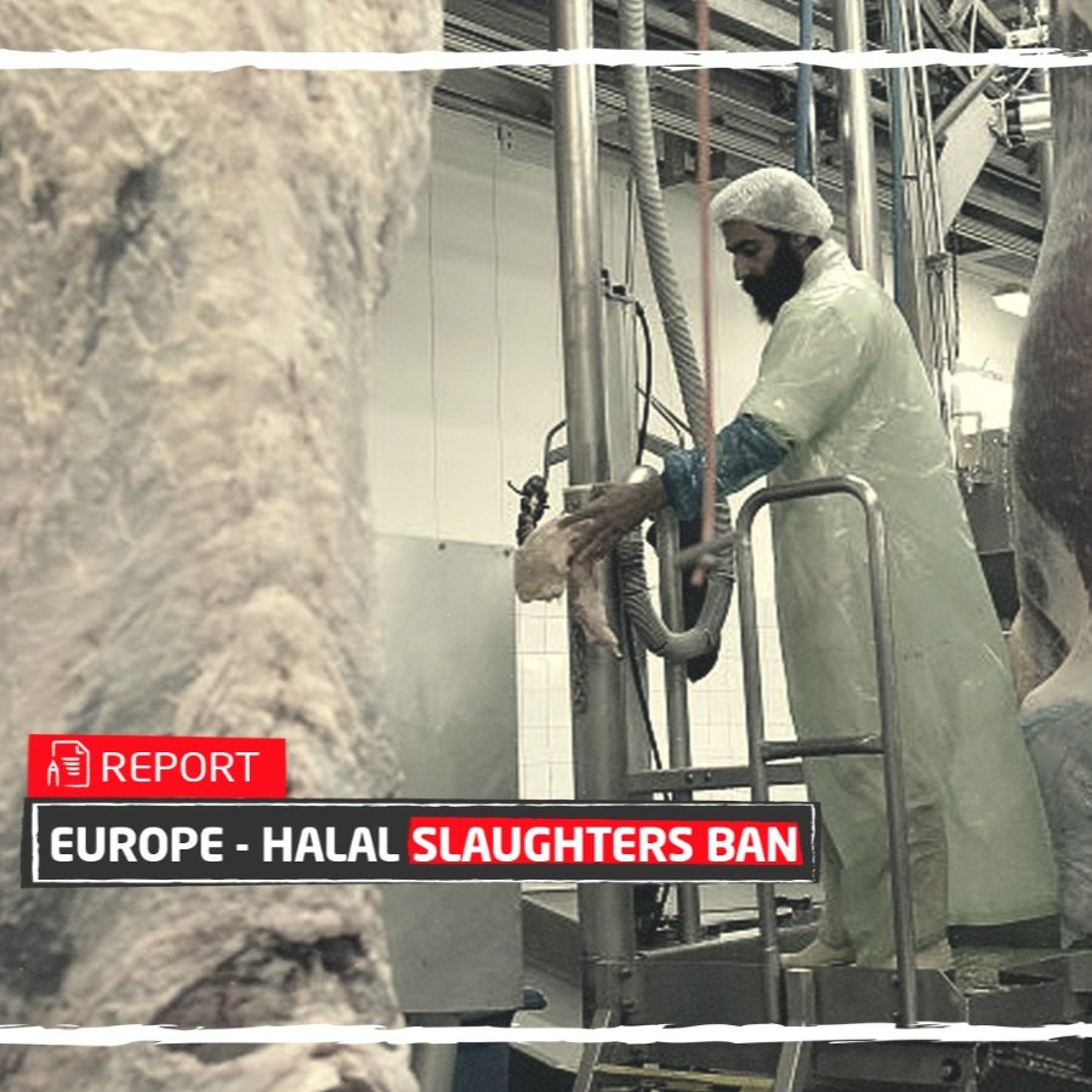 Fake Fact Check: 14 European countries banned halaal meat?