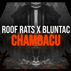Roof Rats X Bluntac - CHAMBACU