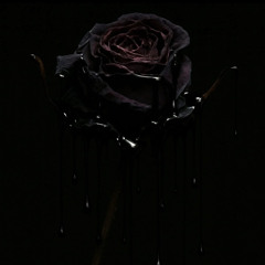 Lies of the butterfly.mp3