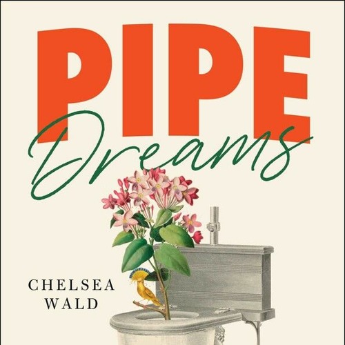 Chelsea Wald, author of 'Pipe Dreams', talks toilets and a global sanitation revolution