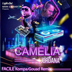 FACILE Kompa/Gouad Remix