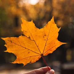 Autumn Essential 2025