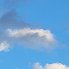 life of the snowflake