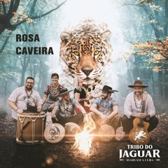 Tribo do Jaguar - Rosa Caveira