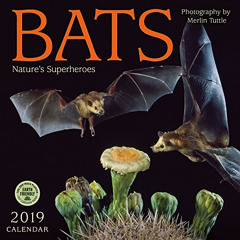 GET KINDLE 📑 Bats 2019 Wall Calendar: Nature's Superheroes by  Merlin D. Tuttle &  A