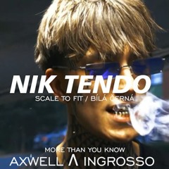 Nik Tendo - Scale To Fit / Bílá Černá - Axwell Λ Ingrosso - More Than You Knou (LADIS BEATS MASHUP)