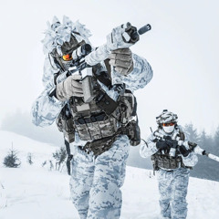 Royal Marine Commandos