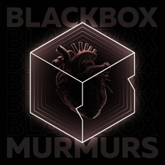 BlackBox - Noi