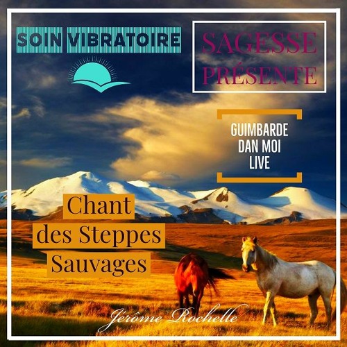Chant des Steppes Sauvages - Guimbarde Dàn Môi