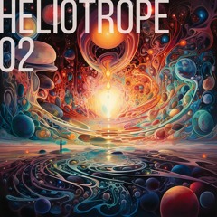 Heliotrope 02