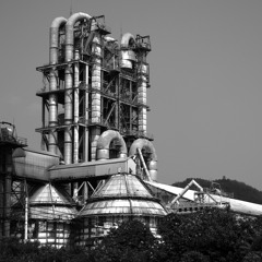 Berlinerin - Demo August 2020