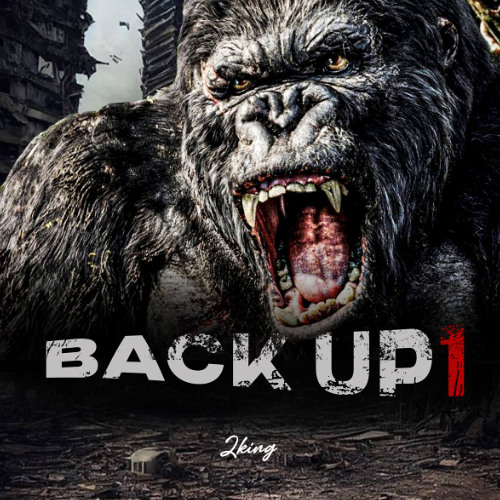 BACKUP 1 ( SUPREME)