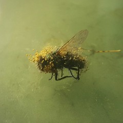 06 The Waters Of The Nile