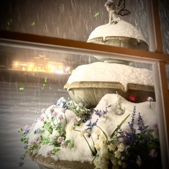 snow angels w/ cardinal, aw3, hvvean, 3ik0, storykoko (symelz & me & sleepyyfr)