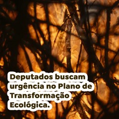 Deputados buscam urgência no Plano de Transformação Ecológica