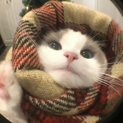 Daydream Demo - Haiyang x HyyLee Remix