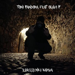 Edelleenki karua feat Olavi P