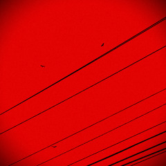 Morning Dew On A Silent Hill