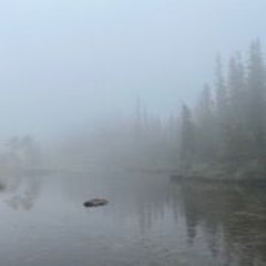 "Psalms" for live and pre-recorded bass clarinets (2008, rev. 2025)