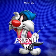 MEGA FUNK ESPECIAL 10K {DJ KELVEN SC}