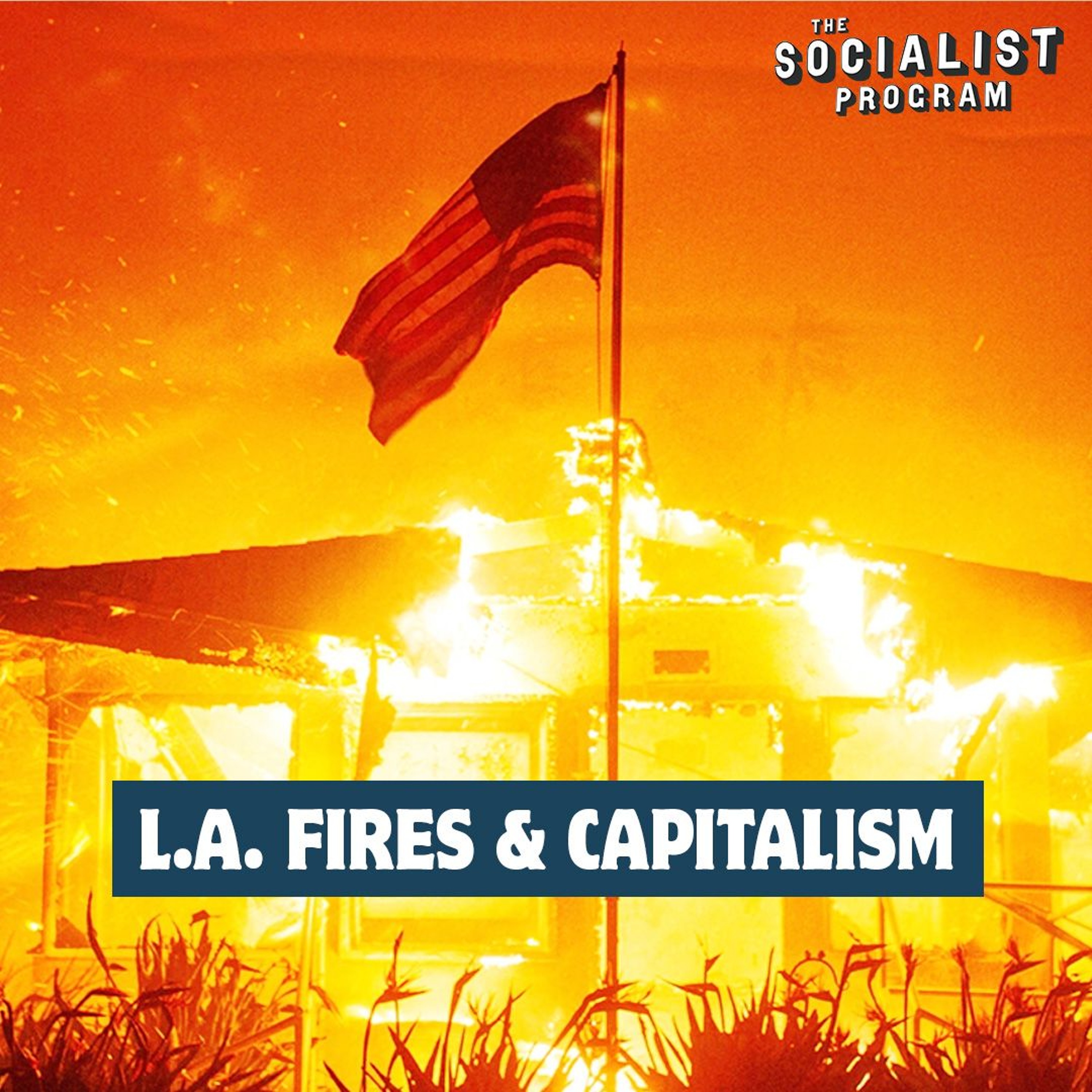 The Socialist Program with Brian Becker
