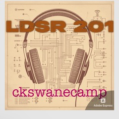 LDSR - ckswanecamp(2)