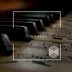 HAX - Amadeus (Notar Remix) 2nd Place