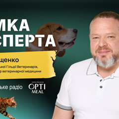 «ШІ — найгірший помічник петперента» — голова Всеукраїнської Гільдії Ветеринарів Денис Тищенко