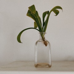 you are so beautiful - joe crocker (cover)