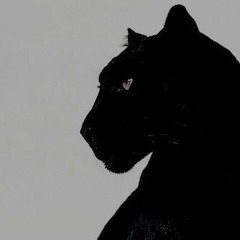 el pantera phonk slowed reverb