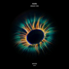 PREMIERE: AMIN - Dreamy Eyes (Original Mix) [Wood Limited]
