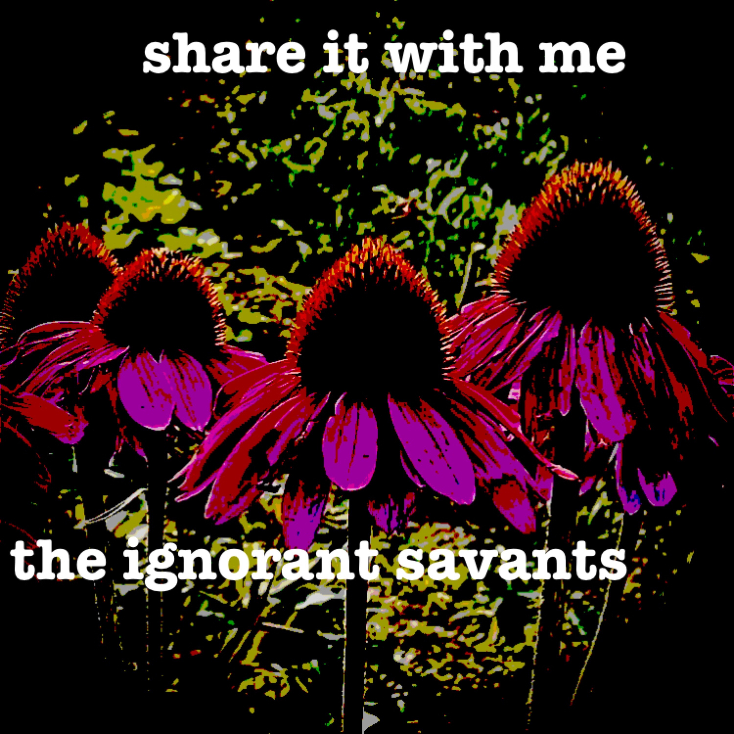 the ignorant savants