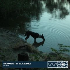 Moments Eluding 06/25 by miro