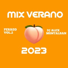MIX PERREO VOL 2 (Marroneo,gata fiera,te la pegas de santa,bellaqueo,etc) [DJ ALEX M.]