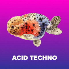 Acid Techno