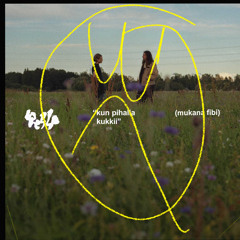 kun pihalla kukkii (feat. fibi)