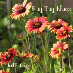 Rag Tag Blues