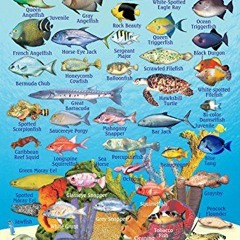 GET [EBOOK EPUB KINDLE PDF] Roatan Bay Islands Honduras Reef Creatures Guide Franko M