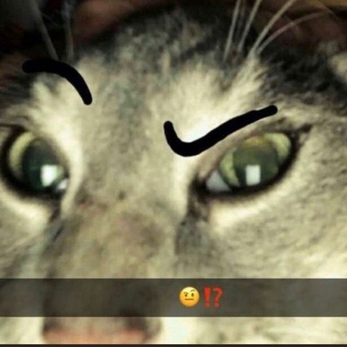 YOU QUESTION THE WORDS OF THE MIGHTY JIMMY?????